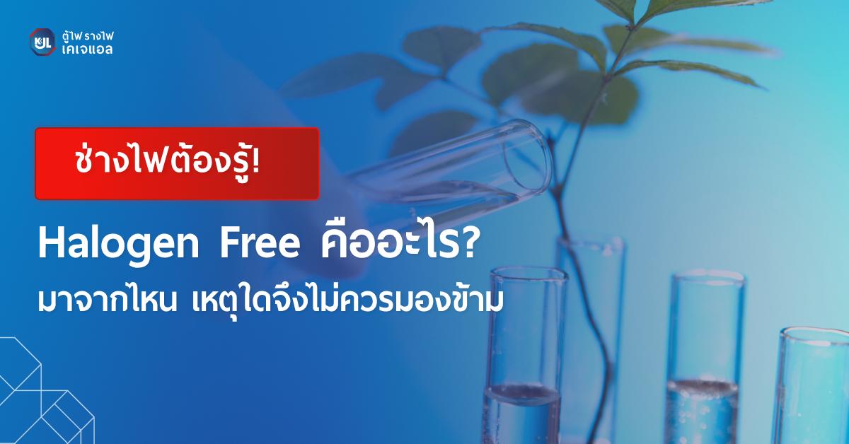  ภาพปกบทความ Halogen Free คืออะไร